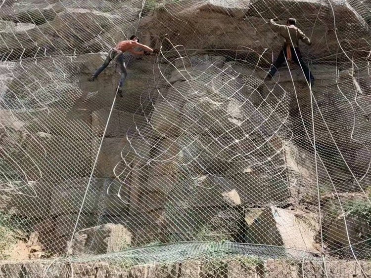 TECCO鈦克網(wǎng)/布魯克網(wǎng)