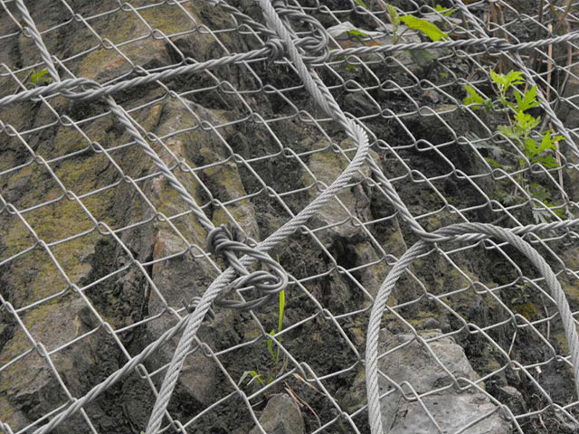 TECCO鈦克網(wǎng)/布魯克網(wǎng)