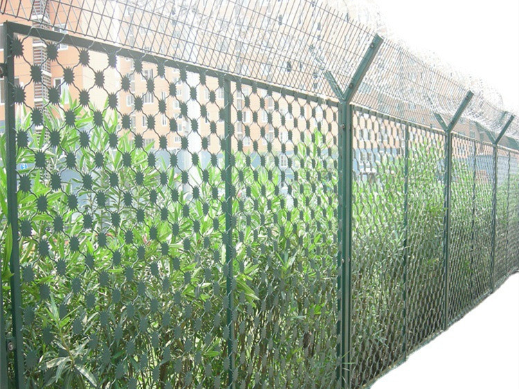 監(jiān)獄護(hù)欄網(wǎng)