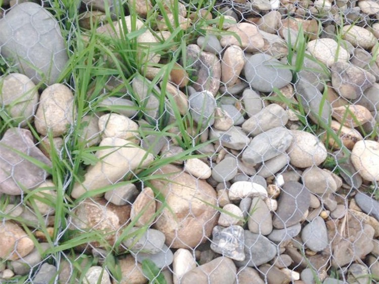 生態(tài)格賓網(wǎng)