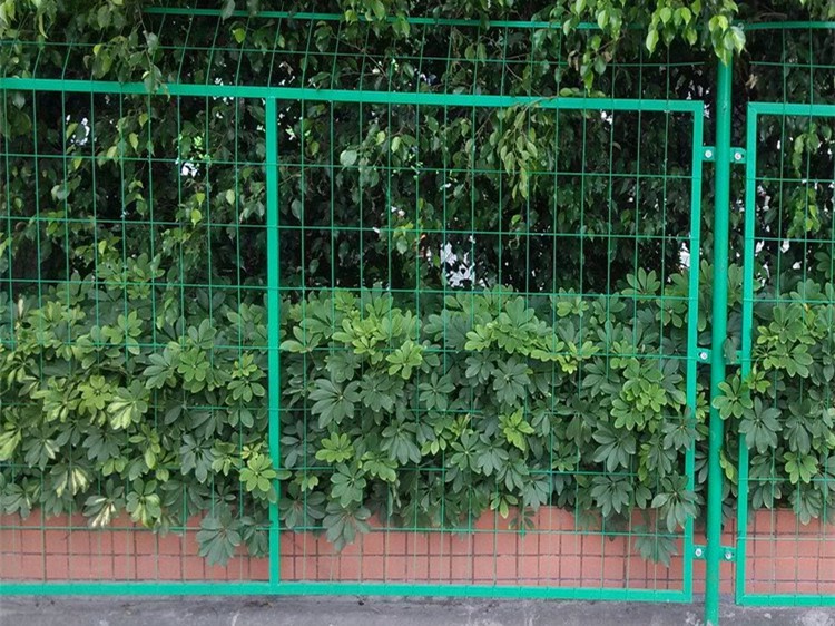 框架護欄網(wǎng)