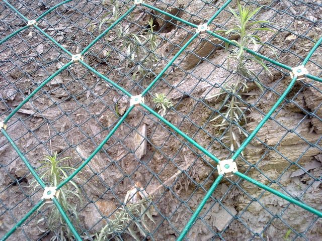 GPS1型主動邊坡防護網(wǎng) 