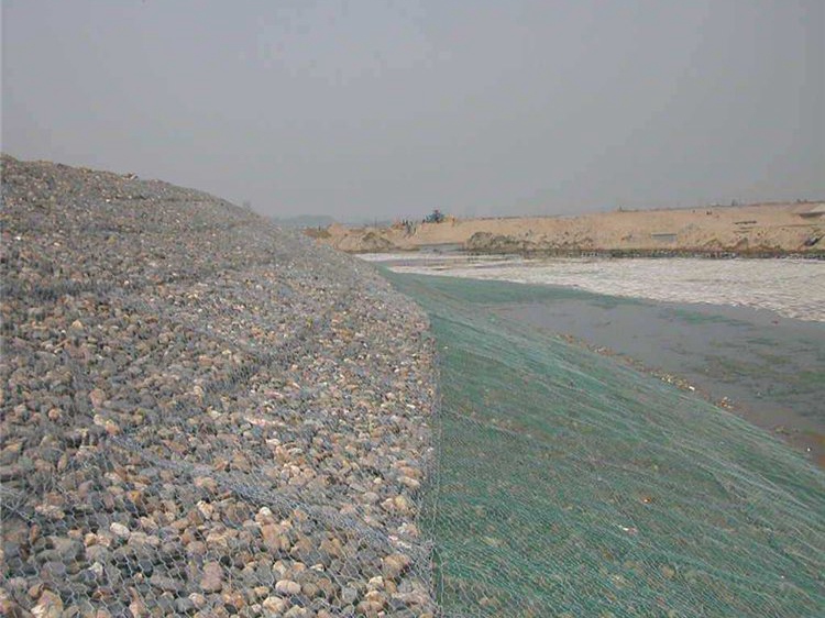 雙隔板雷諾護墊