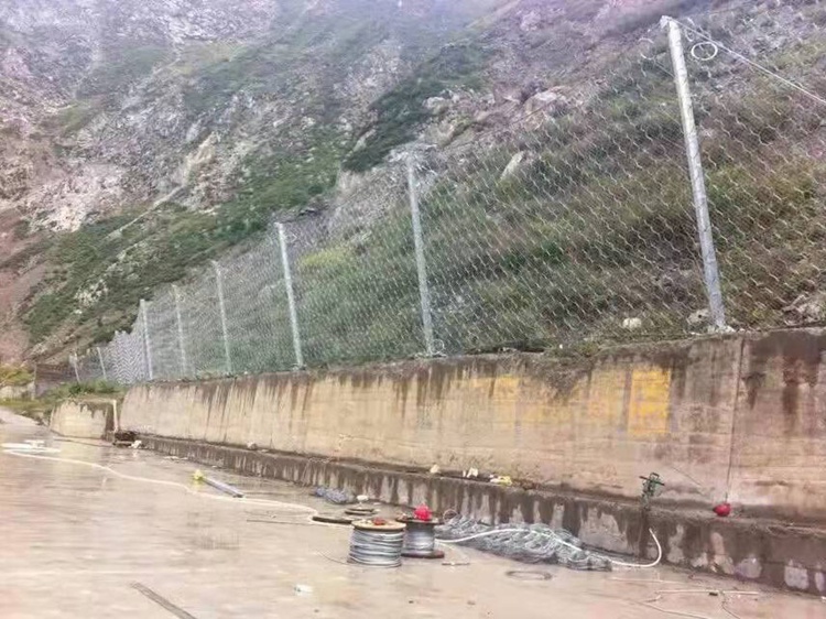 RX-050型被動邊坡防護(hù)網(wǎng) 